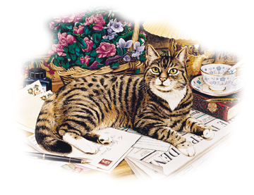 Gatto 8
